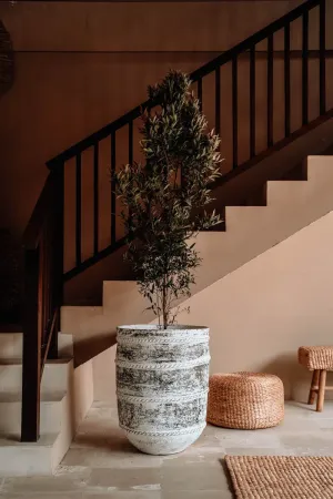 Jak wybrać idealne donice do ogrodu i na balkon