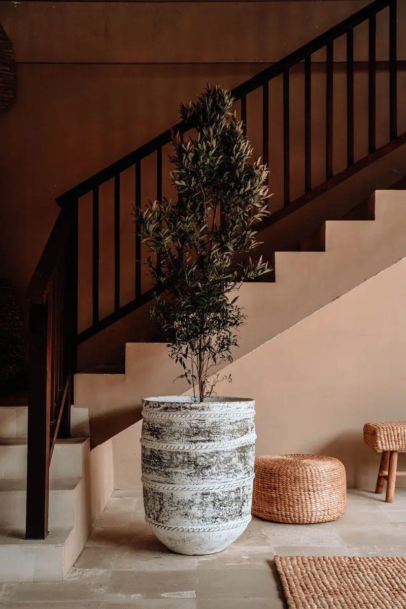 Jak wybrać idealne donice do ogrodu i na balkon